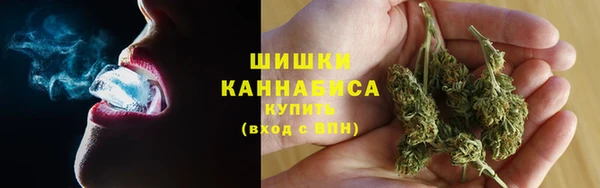 стаф Баксан