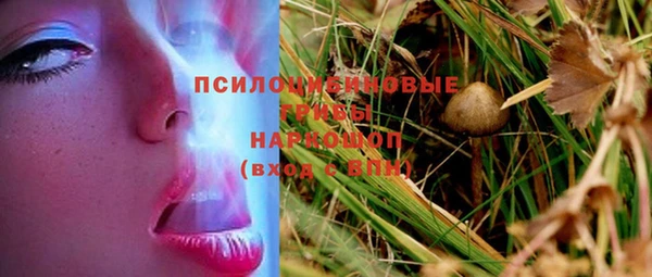 стаф Баксан